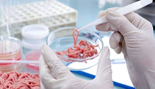 کشف و امحای مقادیر قابل توجه آلایش دامی تاریخگذشته در سنقر و کلیایی