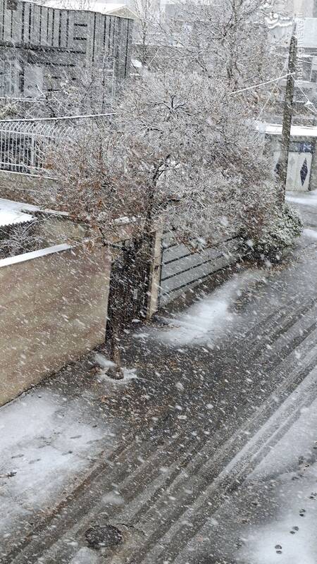 عکس/بارش برف پاییزی در تویسرکان