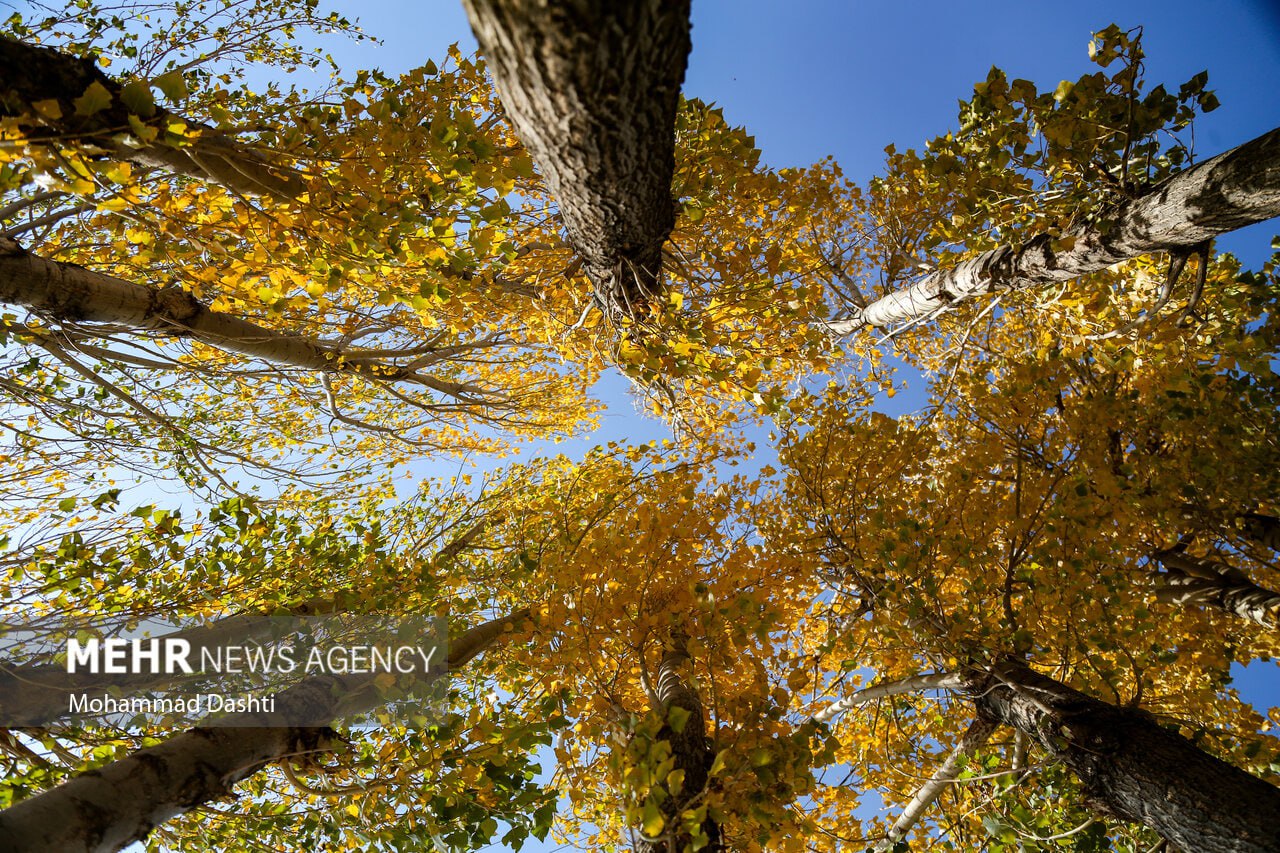  طبیعت پاییزی مسیر نمین - عنبران