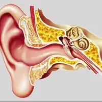 چه دلایلی باعث گرفتگی گوش می شود؟