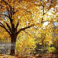  طبیعت پاییزی مسیر نمین - عنبران