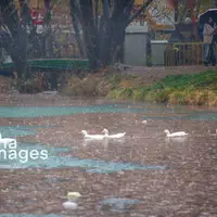 بارش باران پاییزی در کرمانشاه