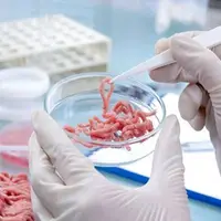 کشف و امحای مقادیر قابل توجه آلایش دامی تاریخگذشته در سنقر و کلیایی