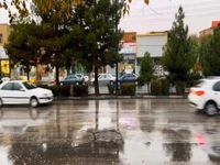 فیلم | بارش زیبای باران در قم