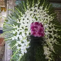 گلباران آرامگاه شهید آیتالله دستغیب در شیراز