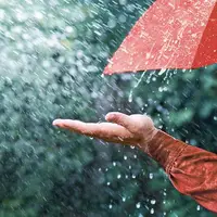 بارش باران صبحگاهی در تهران