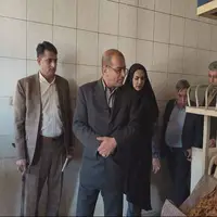چهار واحد نانوایی متخلف در شهرستان زابل پلمب شد