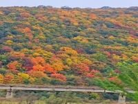 مسیر امامزاده هاشم به رودبار