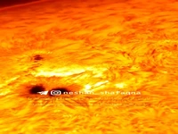 باران خورشیدی