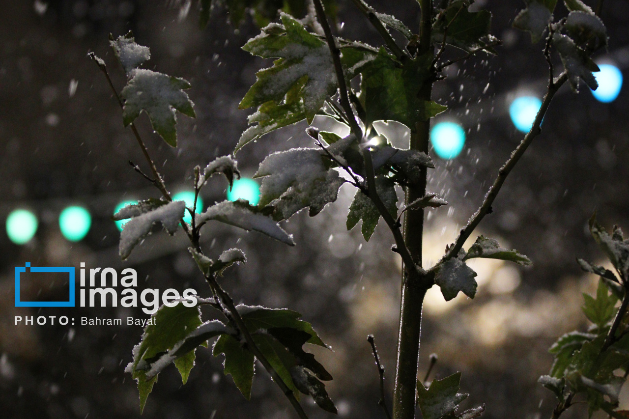 عکس/ بارش اولین برف پاییزی در زنجان