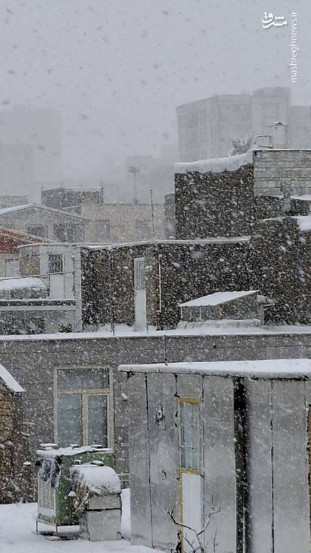 عکس/بارش برف پاییزی در تویسرکان