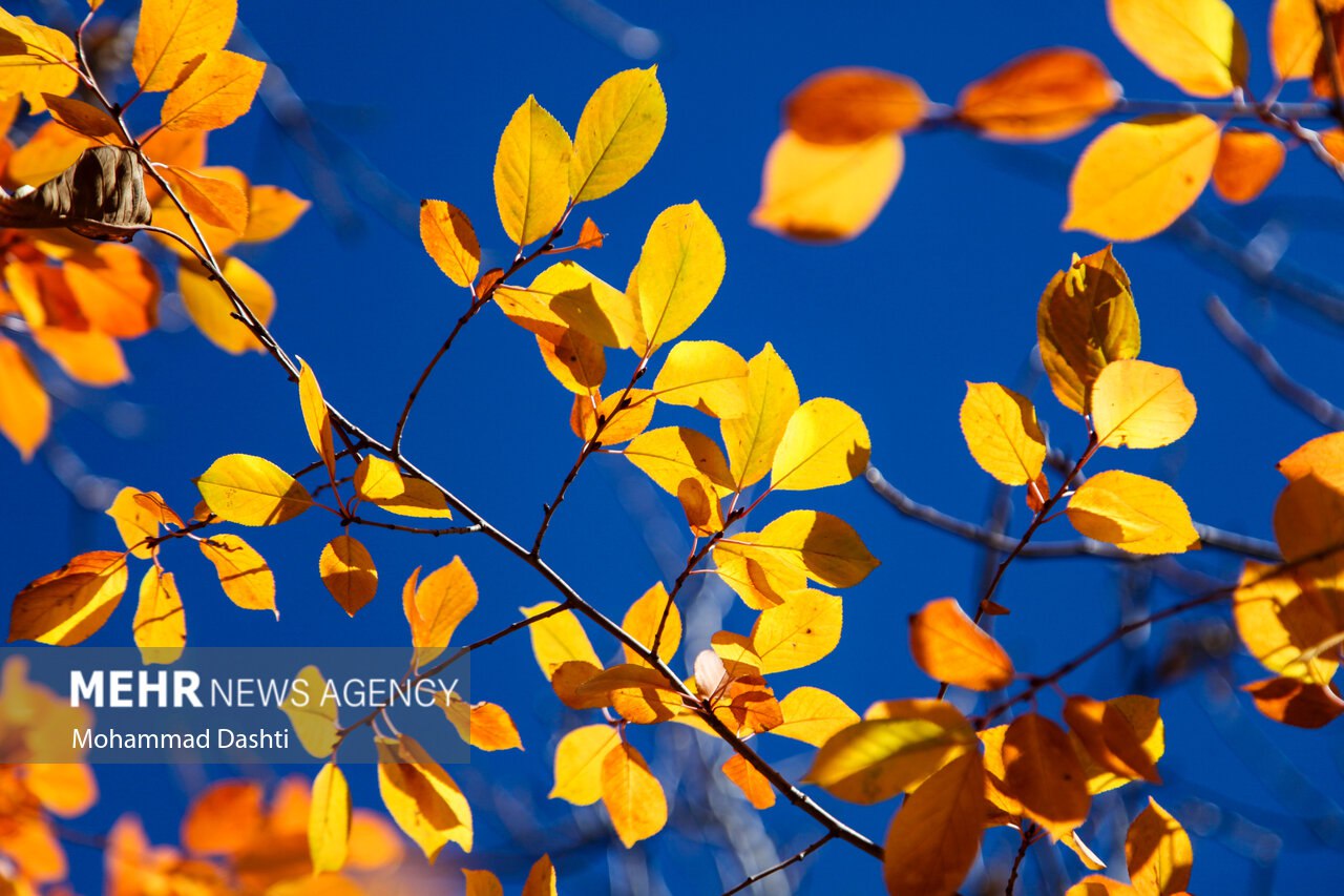  طبیعت پاییزی مسیر نمین - عنبران