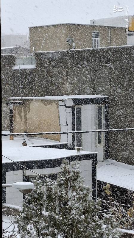 عکس/بارش برف پاییزی در تویسرکان