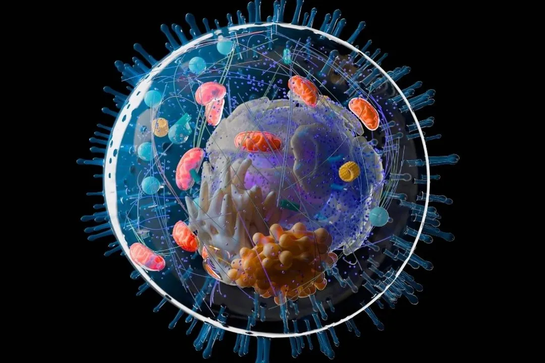 حیات پیچیده روی زمین ممکن است یک میلیارد سال قدیمیتر از تصور گذشته باشد