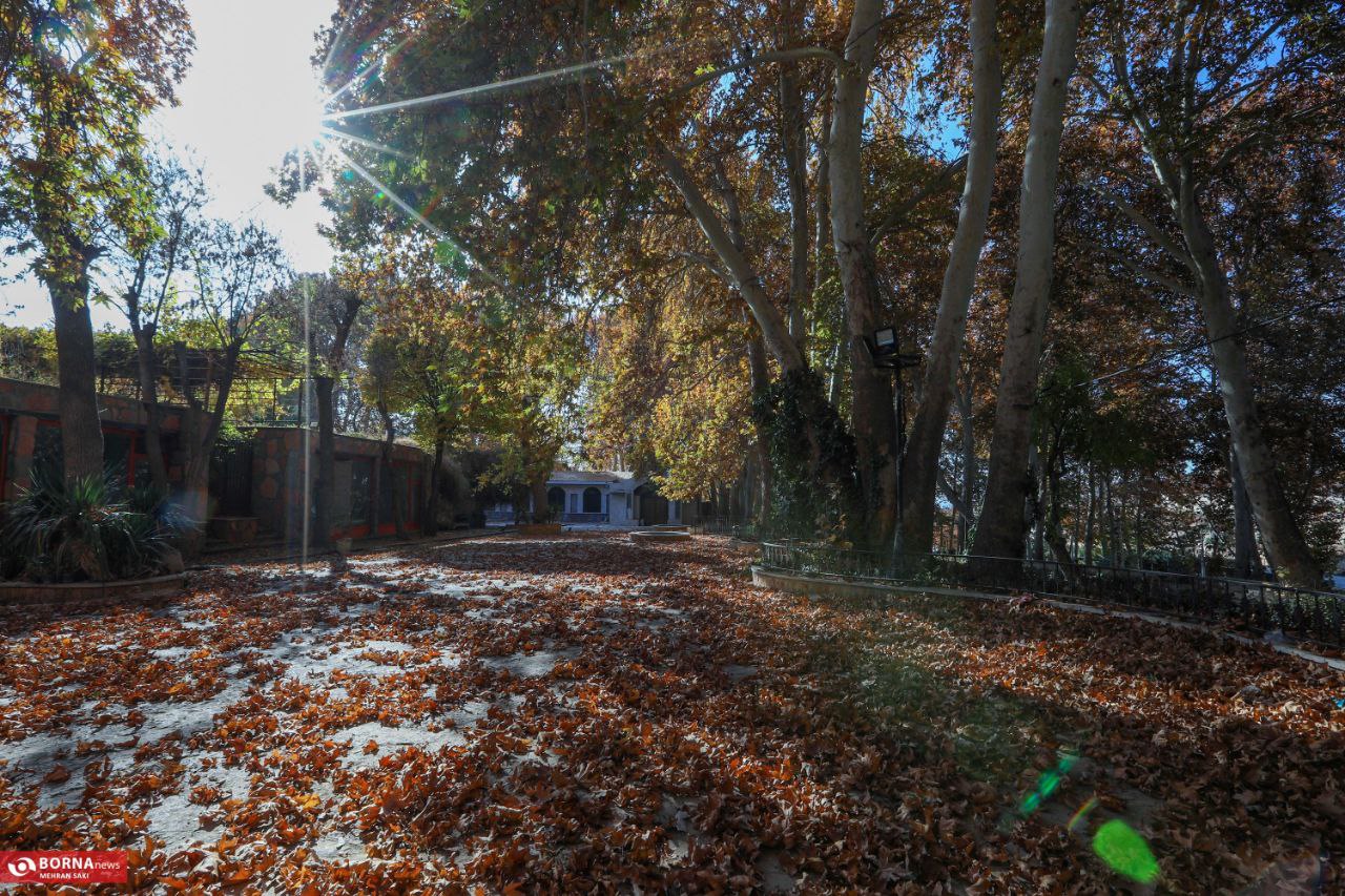 پاییز در محلات؛ پایتخت گل ایران