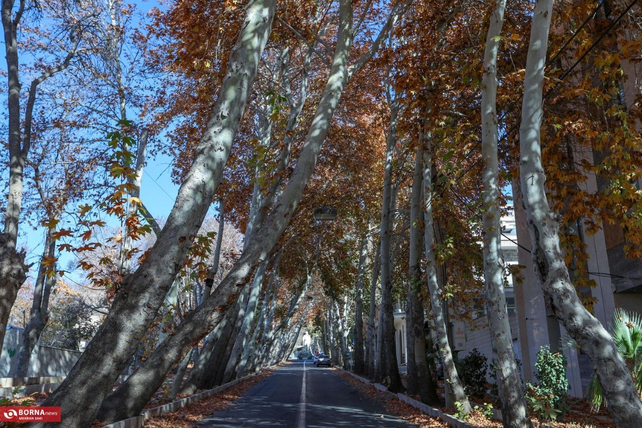 پاییز در محلات؛ پایتخت گل ایران