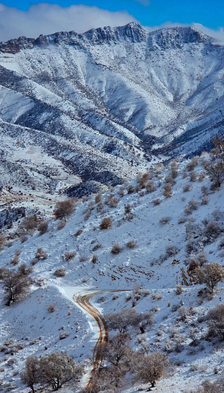 منظره بکر جنگل‌های بلوط ایلام