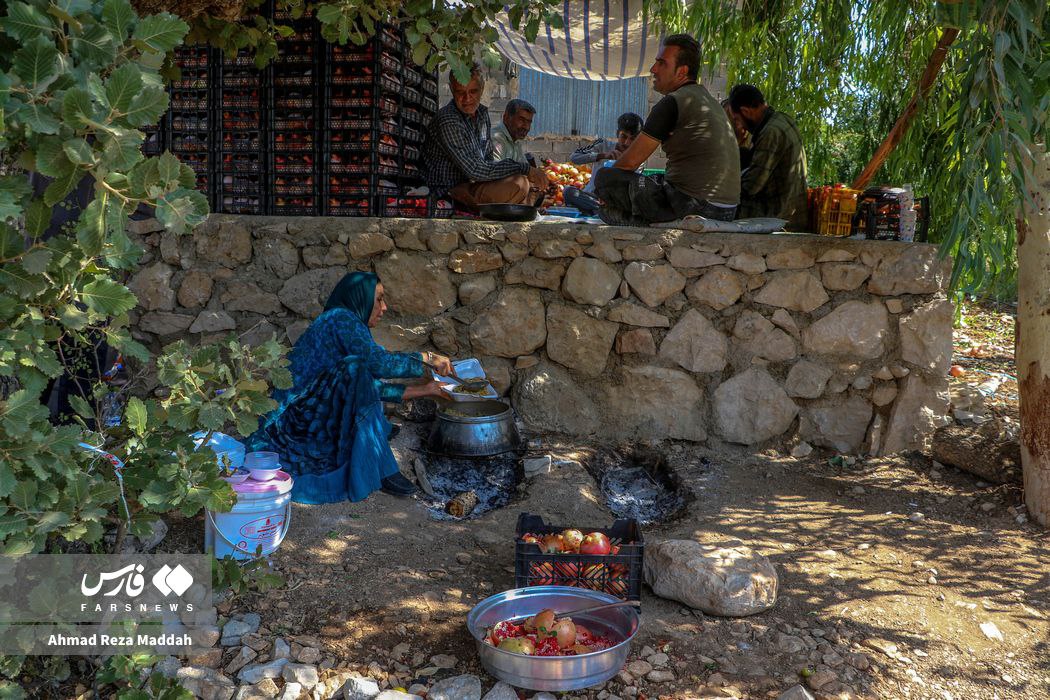 عکس/ زنان سرزمینم ایران