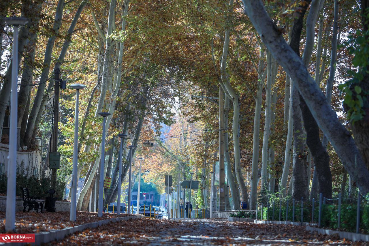 پاییز در محلات؛ پایتخت گل ایران