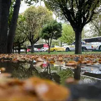 تهران میزبان باد و بارش باران؛ هوای پایتخت سرد میشود