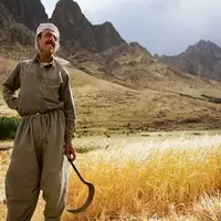 پیامکهای مغایرتدار بانکی کشاورزان کردستان را غافلگیر کرد