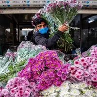 قیمت انواع گل در روز مادر