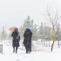 سیلاب و کولاک ۱۳ استان را درگیر کرد