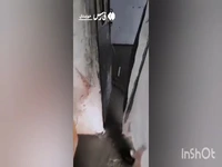 خسارت باران شدید در لالی به خانههای مردم