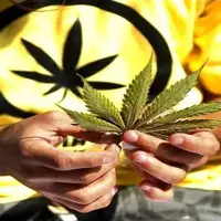 دستگیری دو فروشنده ماری‌جوانا در امین‌آباد ری