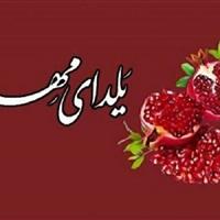 آغاز پویش یلدای مهربانی در زنجان