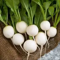 هرگز این افراد ترب نخورند!