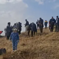 پویش درختکاری در سایه مادر در کردستان برگزار شد