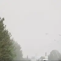 هوای شیراز امروز ناسالم است