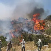 آتشسوزی در جنگلهای هیرکانی عباسآباد خاموش شد