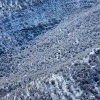 منظره بکر جنگل‌های بلوط ایلام