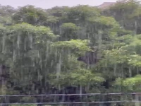 بارش رحمت الهی در اهواز