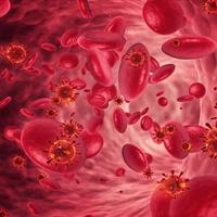 متخصص بیماریهای داخلی: کم خونی، همیشه ناشی از کمبود آهن نیست