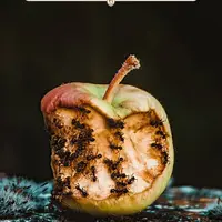 طرح/ بخورید و بیاشامید و اسراف نکنید