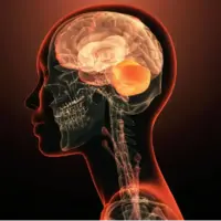 برای نخستین‌بار یک ژن واحد به‌تنهایی عامل بیماری روانی شناخته شد