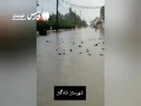 آبگرفتگی در معابر شادگان