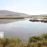 نزولات آسمانی حیات دوباره به تالاب کانیبرازان مهاباد بخشید