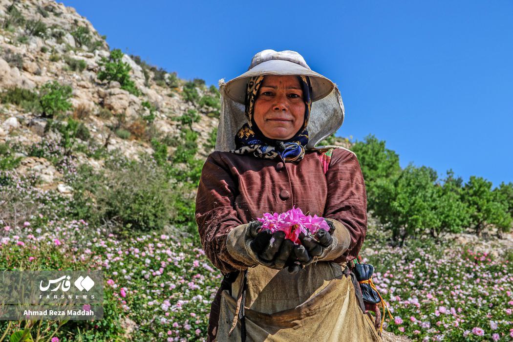 عکس/ زنان سرزمینم ایران