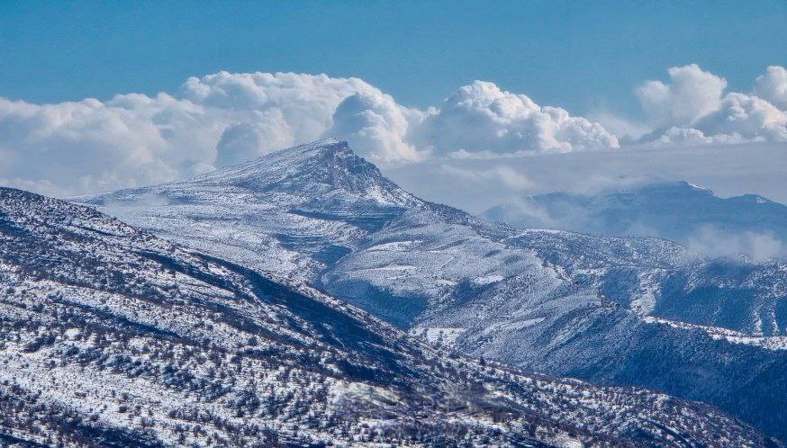 منظره بکر جنگل‌های بلوط ایلام