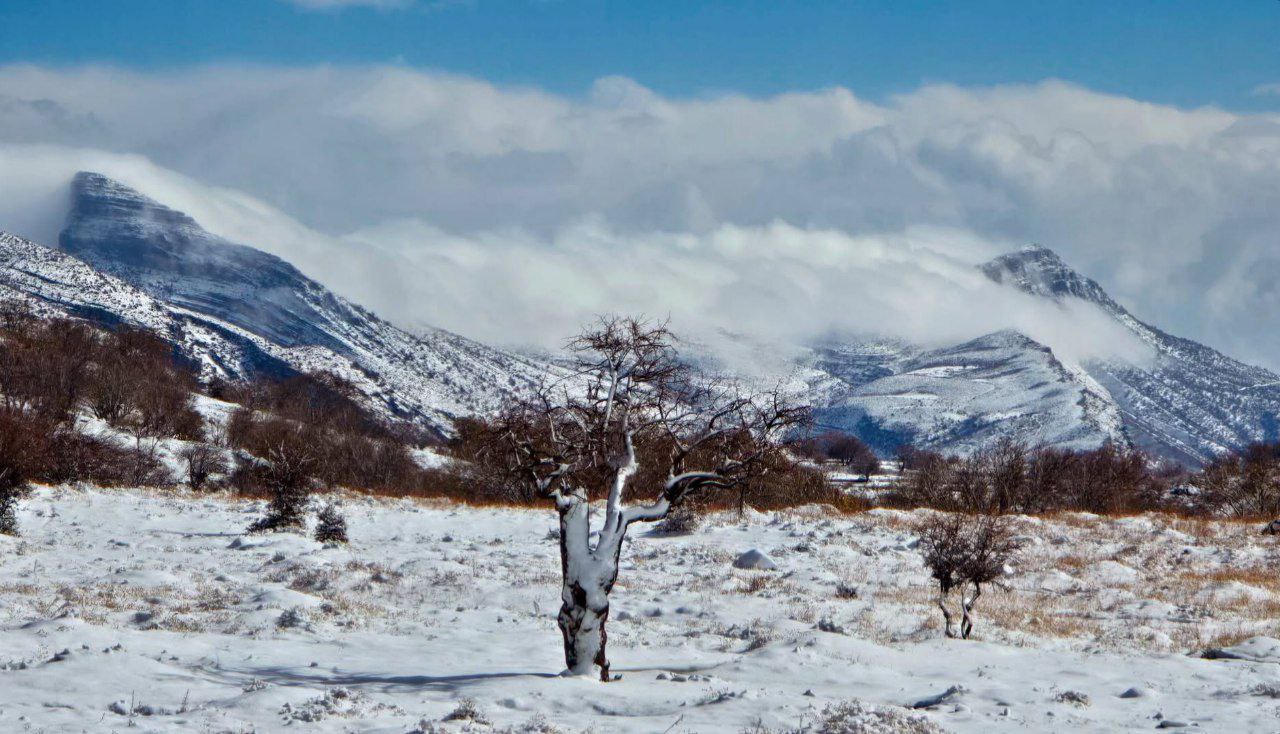 منظره بکر جنگل‌های بلوط ایلام
