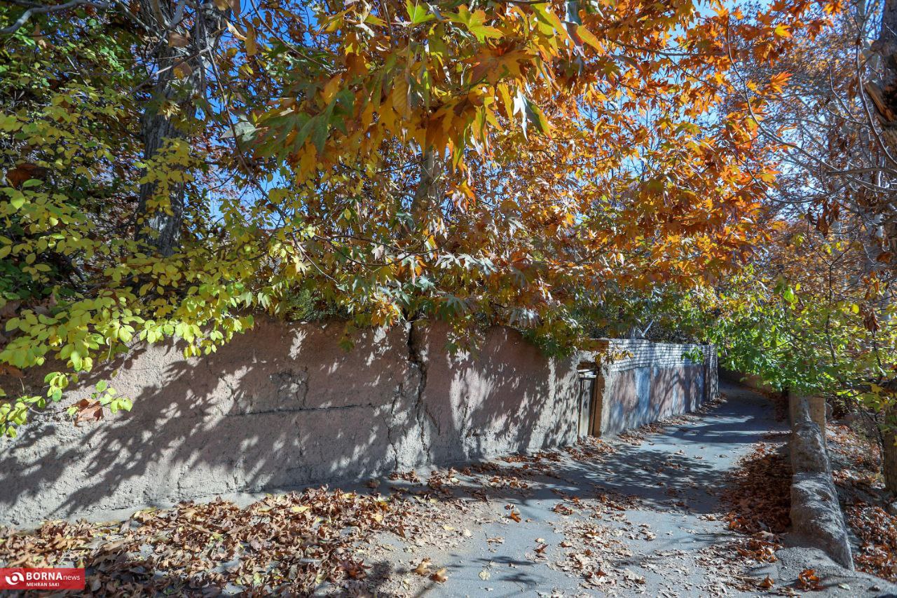 پاییز در محلات؛ پایتخت گل ایران