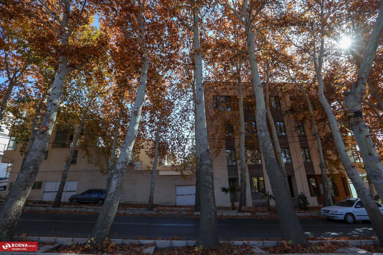 پاییز در محلات؛ پایتخت گل ایران