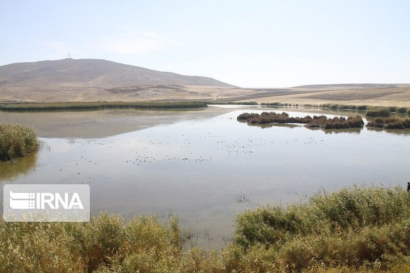 نزولات آسمانی حیات دوباره به تالاب کانی‌برازان مهاباد بخشید