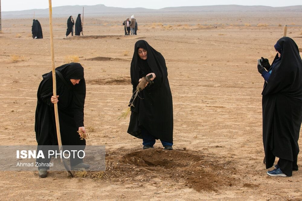  پویش کاشت نهال با عنوان "در سایه مادر"