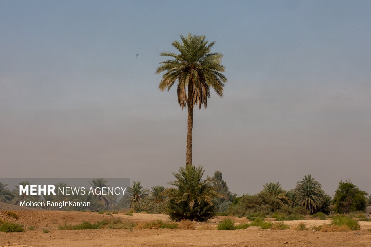 باغ‌های معلق بابل