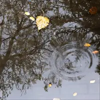 بارش های پراکنده در همدان